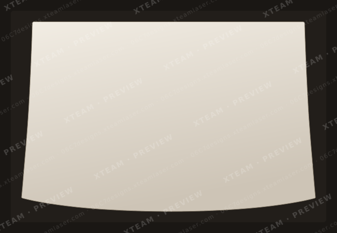 Tesla Model 3 — Tesla Model 3 - External sunroof tint film T 3 Common 2019