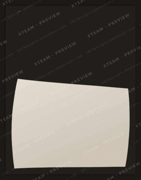 Tesla Model Y — Tesla Model Y - External sunroof tint film T Y Common 2019